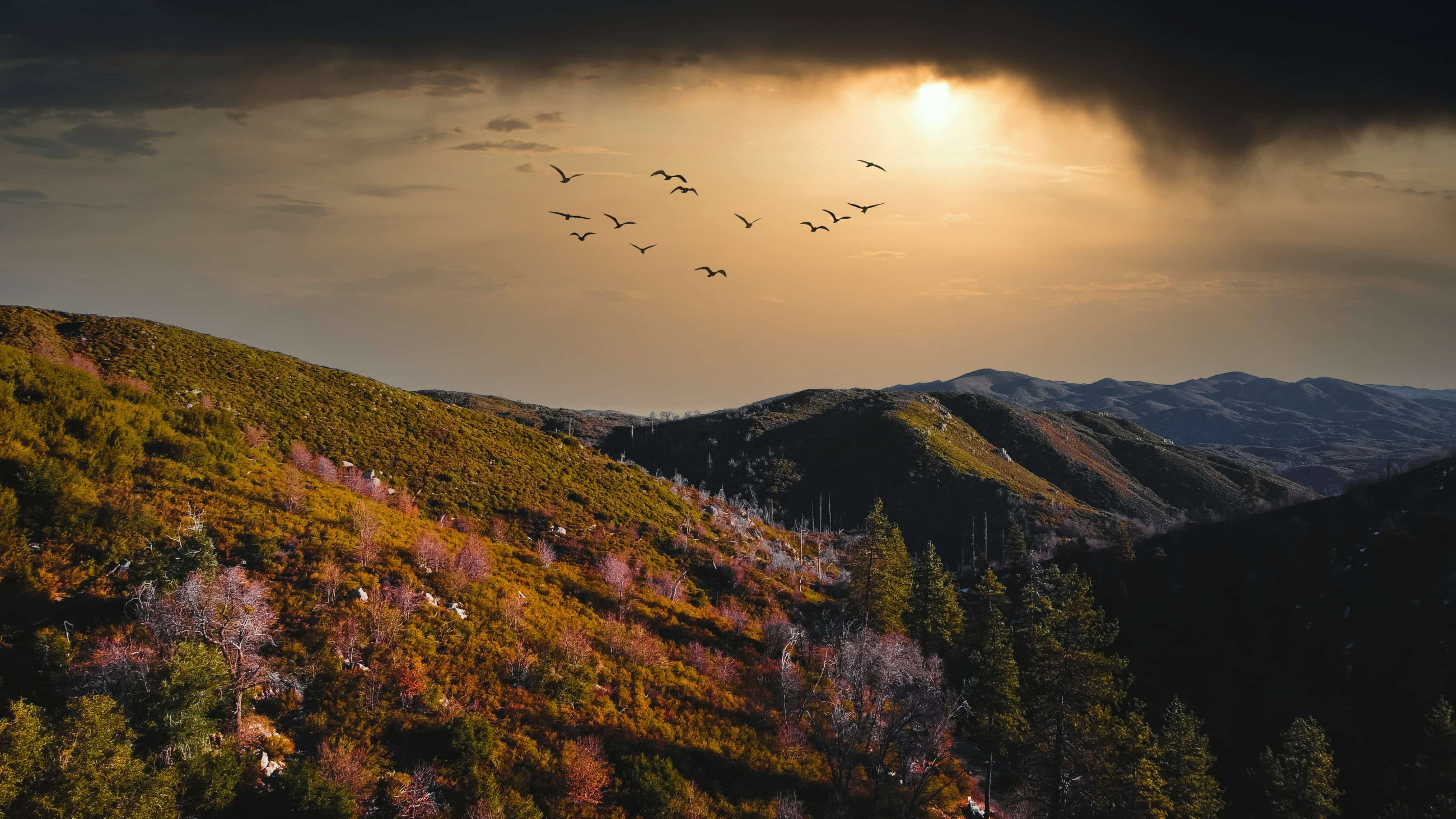 Natur in Kasachstan